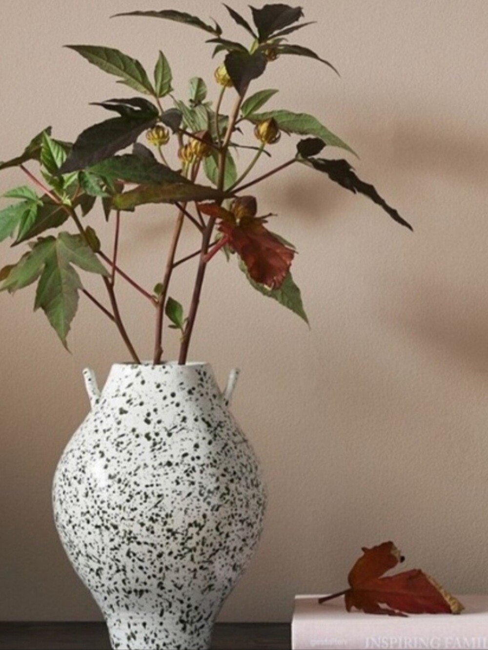 Amber Lewis X Anthropologie Speckled Vase